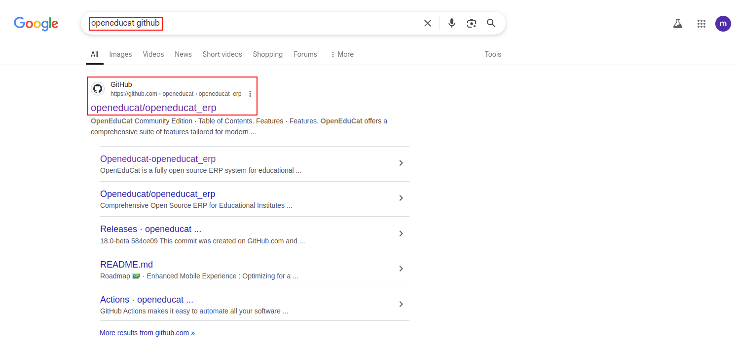 ../../_images/google_github.png
